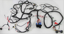 Load image into Gallery viewer, Reman-Wire Harness #47857130R