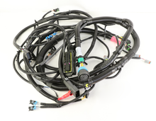 Load image into Gallery viewer, Case CE - Reman-Wire Harness - 84342272r