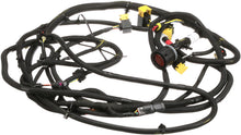 Load image into Gallery viewer, Reman-Wire Harness #48139901R