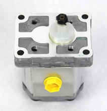 Load image into Gallery viewer, NEW HOLLAND AGRICULTURE - REMAN-HYD PUMP - 84100749R