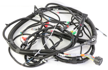 Load image into Gallery viewer, Case CE - Reman-Wire Harness - 48037926r