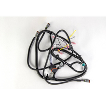 Load image into Gallery viewer, Case CE - Reman-Wire Harness - 47714184r