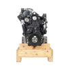 Reman-Replacement Engine #5802001326ER