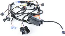 Load image into Gallery viewer, Case CE - Reman-Wire Harness - 48037885r
