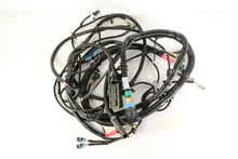Load image into Gallery viewer, Case CE - Reman-Wire Harness - 84342272r

