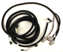 Load image into Gallery viewer, Reman-Wire Harness - 84345145R
