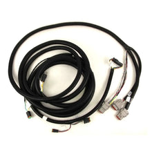 Load image into Gallery viewer, Reman-Wire Harness - 84345145R
