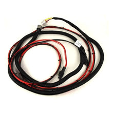 Load image into Gallery viewer, Reman-Wire Harness - 87010118R
