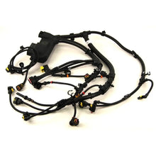 Load image into Gallery viewer, Reman-Wire Harness - 5802269072R
