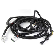 Load image into Gallery viewer, Reman-Wire Harness - 87592009R
