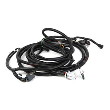 Load image into Gallery viewer, Reman-Wire Harness - 87592009R
