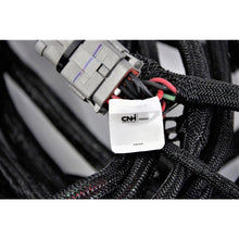 Load image into Gallery viewer, Reman-Wire Harness - 87479158R
