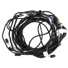 Load image into Gallery viewer, Reman-Wire Harness - 87627642R
