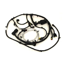 Load image into Gallery viewer, Reman-Wire Harness - 5801556000R

