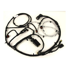 Load image into Gallery viewer, Reman-Wire Harness - 5801556000R
