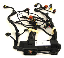 Load image into Gallery viewer, Reman-Wire Harness - 5802940008R
