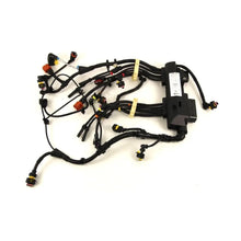 Load image into Gallery viewer, Reman-Wire Harness - 5802940008R
