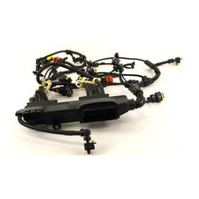 Load image into Gallery viewer, Reman-Wire Harness - 5802940008R

