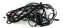 Load image into Gallery viewer, Case CE - Reman-Wire Harness - 48037975r
